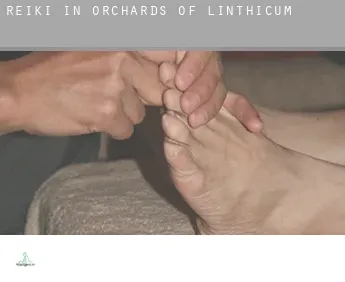 Reiki in  Orchards of Linthicum