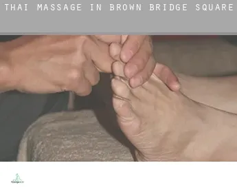 Thai massage in  Brown Bridge Square