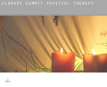 Clarkes Summit  physical therapy