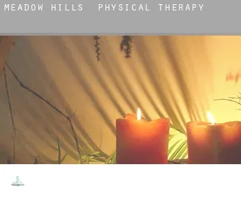 Meadow Hills  physical therapy