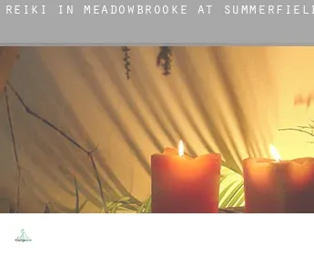 Reiki in  Meadowbrooke at Summerfield