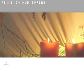 Reiki in  Mud Spring