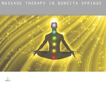 Massage therapy in  Boneita Springs