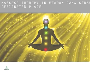 Massage therapy in  Meadow Oaks