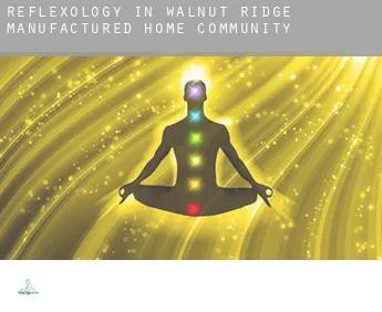 Reflexology in  Walnut Ridge Manufactured Home Community