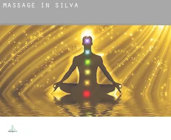 Massage in  Silva