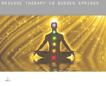 Massage therapy in  Borden Springs