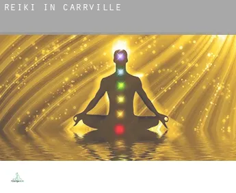 Reiki in  Carrville