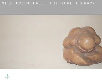 Mill Creek Falls  physical therapy