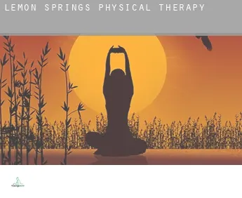 Lemon Springs  physical therapy