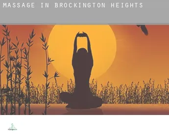 Massage in  Brockington Heights