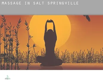 Massage in  Salt Springville