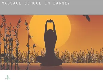 Massage school in  Barney