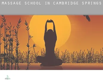 Massage school in  Cambridge Springs