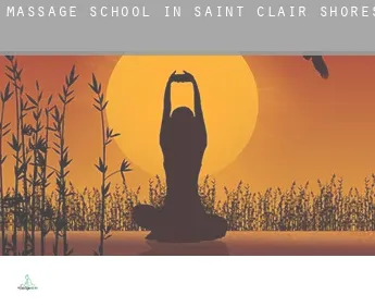 Massage school in  Saint Clair Shores