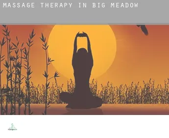 Massage therapy in  Big Meadow
