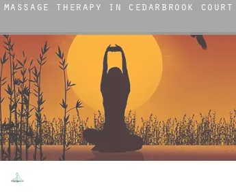 Massage therapy in  Cedarbrook Court