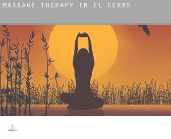 Massage therapy in  El Cerro