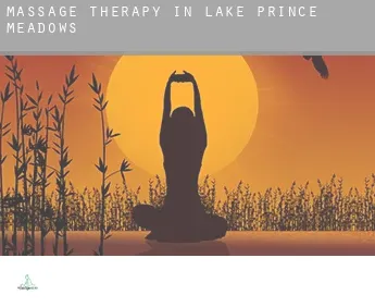 Massage therapy in  Lake Prince Meadows