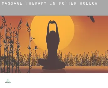 Massage therapy in  Potter Hollow