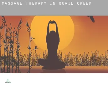 Massage therapy in  Quail Creek