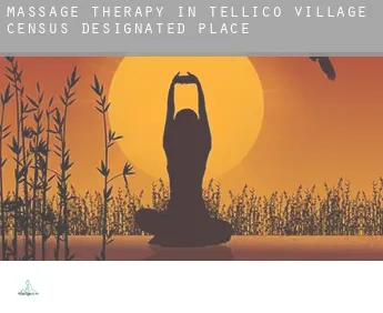 Massage therapy in  Tellico Village