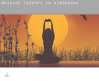 Massage therapy in  Windbrook