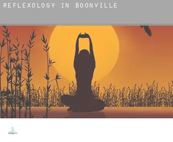 Reflexology in  Boonville