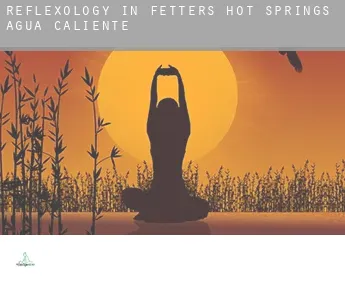 Reflexology in  Fetters Hot Springs-Agua Caliente