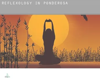 Reflexology in  Ponderosa