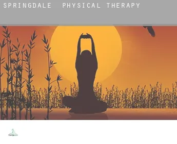 Springdale  physical therapy