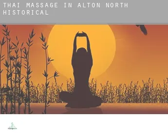 Thai massage in  Alton North (historical)