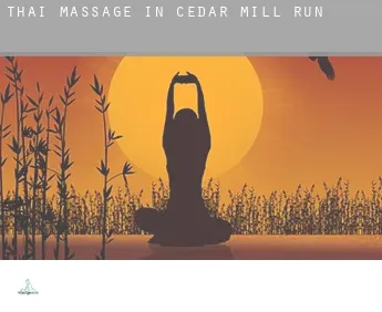 Thai massage in  Cedar Mill Run