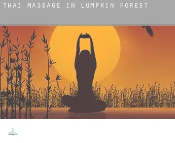 Thai massage in  Lumpkin Forest