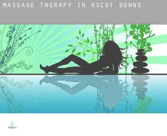 Massage therapy in  Ascot Downs
