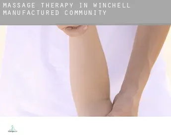 Massage therapy in  Winchell Manufactured Community