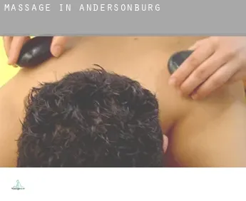 Massage in  Andersonburg