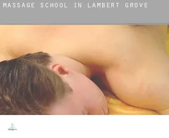 Massage school in  Lambert Grove