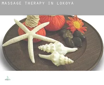 Massage therapy in  Lokoya