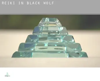Reiki in  Black Wolf