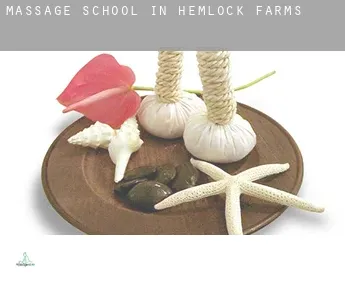 Massage school in  Hemlock Farms