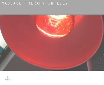 Massage therapy in  Lily