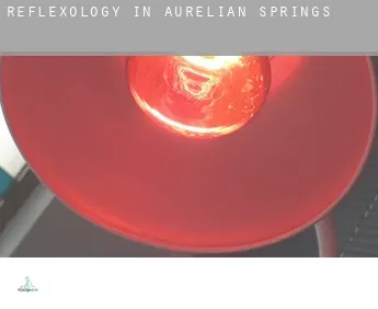 Reflexology in  Aurelian Springs