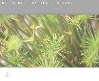 Bid-A-Wee  physical therapy