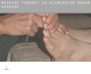 Massage therapy in  Wilmington Manor Gardens