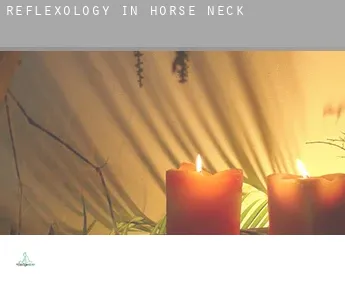Reflexology in Horse Neck