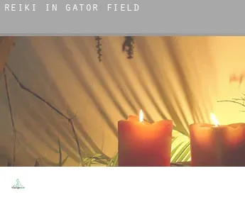 Reiki in  Gator Field