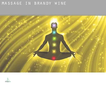 Massage in  Brandy Wine