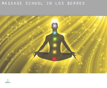 Massage school in  Los Berros