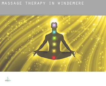 Massage therapy in  Windemere